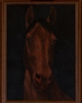 Kůň (1)