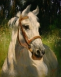 Kôň