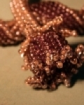Noční kvetení - detail