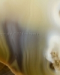 Intruze 47