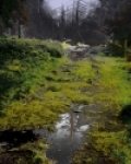 Krajina 13