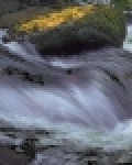 Detail krajiny 31