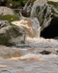Detail krajiny 34