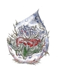 Kvapka mysle
