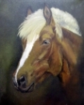 Mladý hafling