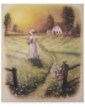 Večerní romance