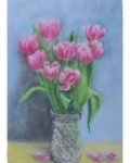 Tulipány