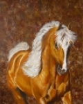 Golden palomino