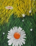 Margarétky1