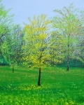 Kreuzberg Berlín park jeseň