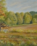 Procházka