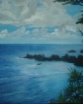 Poloostrov Hawai