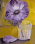 anemonka fialova